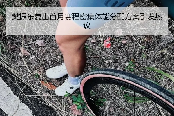 樊振东复出首月赛程密集体能分配方案引发热议